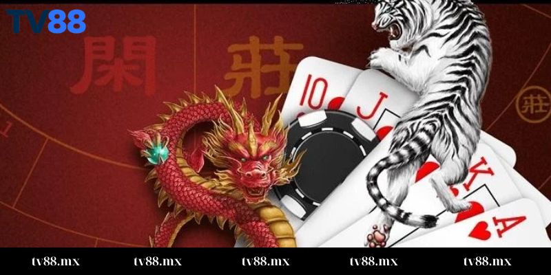 Các bí quyết chơi rồng hổ online