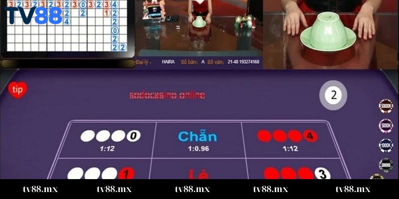 Cách soi cầu xóc đĩa tại TV88