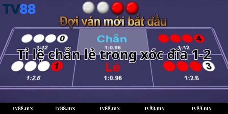 Cách soi cầu xóc đĩa tại TV88 phương pháp